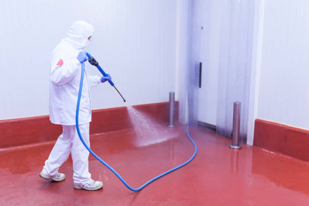 Best Boat and Dock Cleaning  in Mercerville, NJ